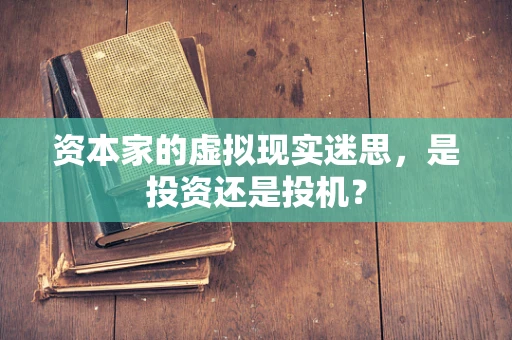 资本家的虚拟现实迷思，是投资还是投机？