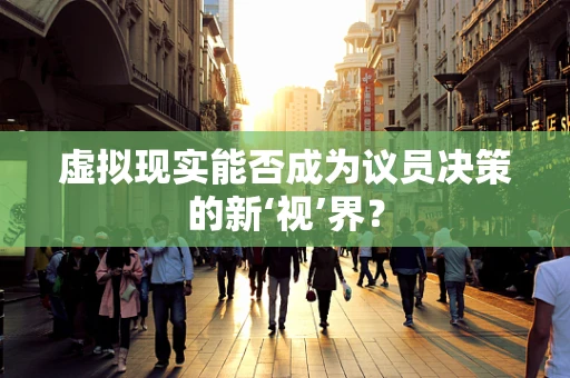 虚拟现实能否成为议员决策的新‘视’界？