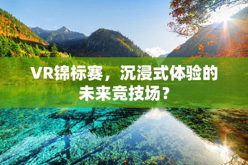 VR锦标赛，沉浸式体验的未来竞技场？