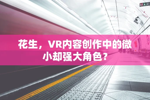 花生，VR内容创作中的微小却强大角色？