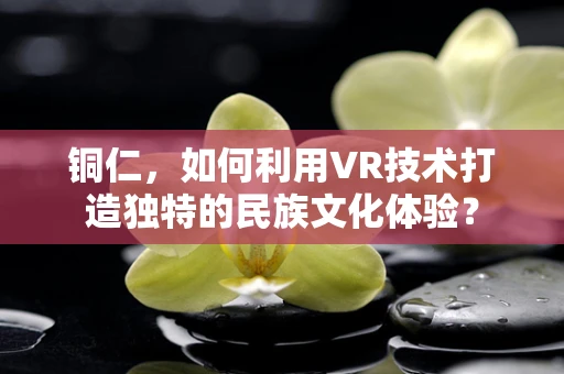 铜仁，如何利用VR技术打造独特的民族文化体验？